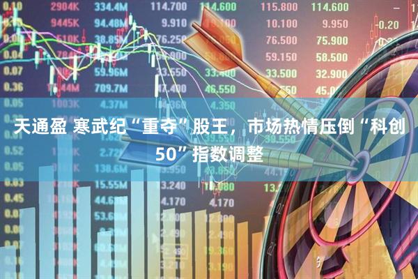 天通盈 寒武纪“重夺”股王，市场热情压倒“科创50”指数调整