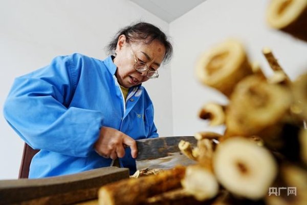 盛鹏智投 光耀太行·红土巨变 | 浑源：北岳灵秀厚植“千年芪乡